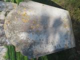 image number C8_280